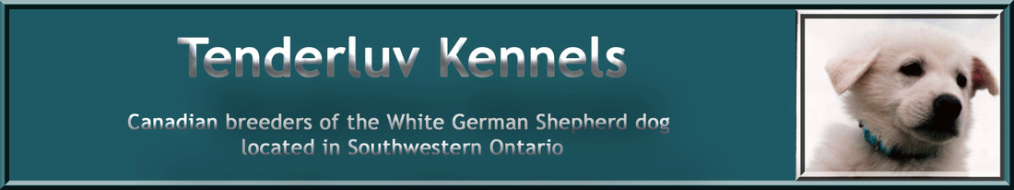 Tenderluv Kennels Canadian breeders of the White German Shepherd dog located in Southwestern Ontario